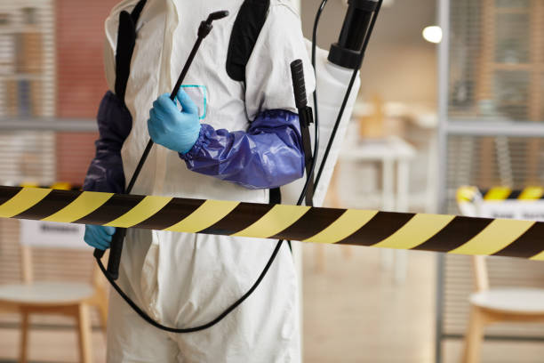 Professional Hoarding Cleanup technician working in Wentworth, NC